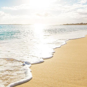 Meet your Posher, Rourke